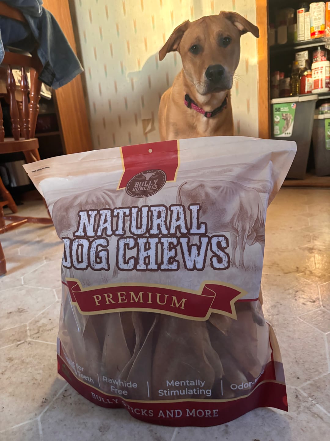 Customer photo review of Natural Cow Ear