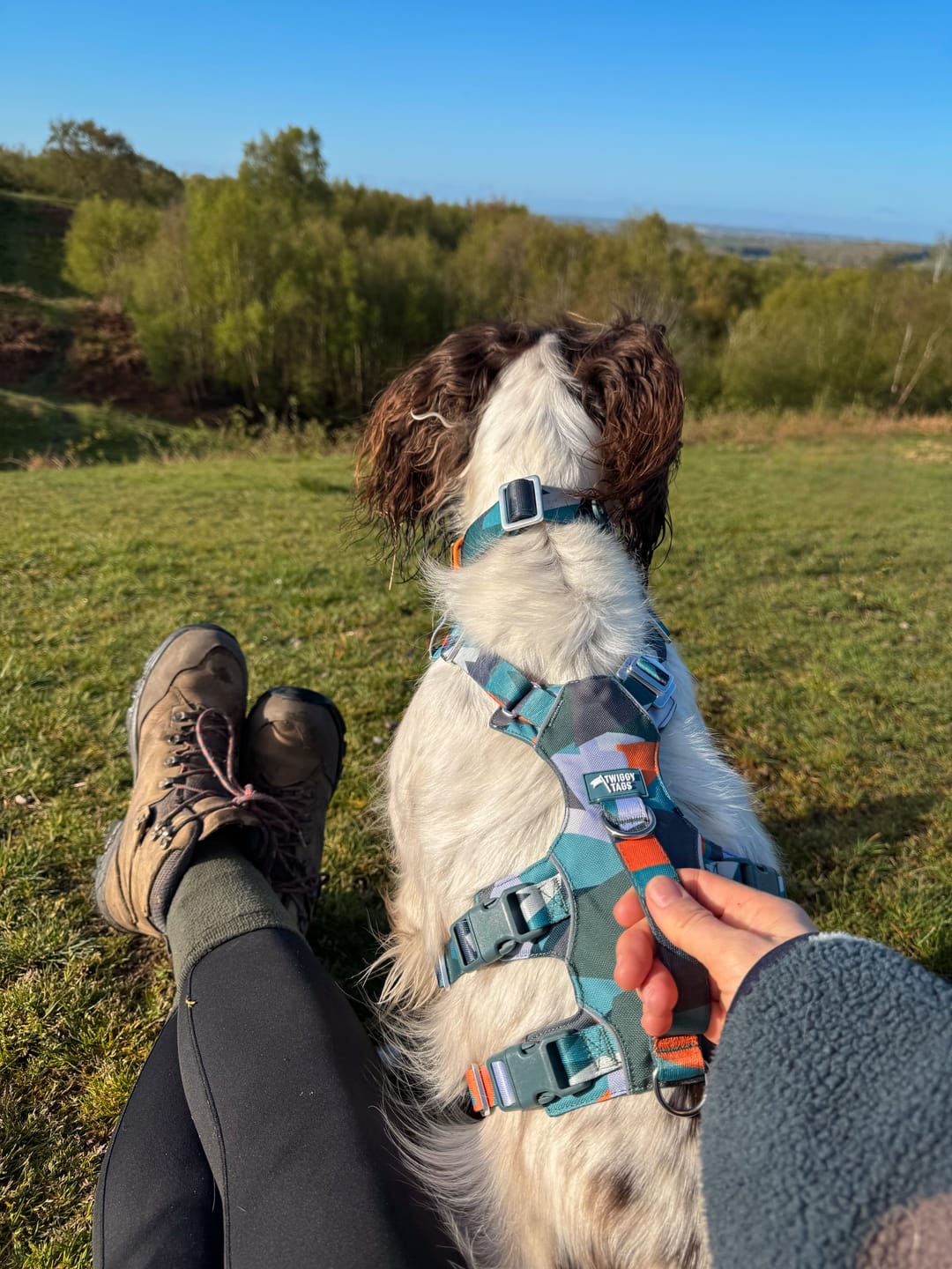 Customer photo review of Scramble Harness