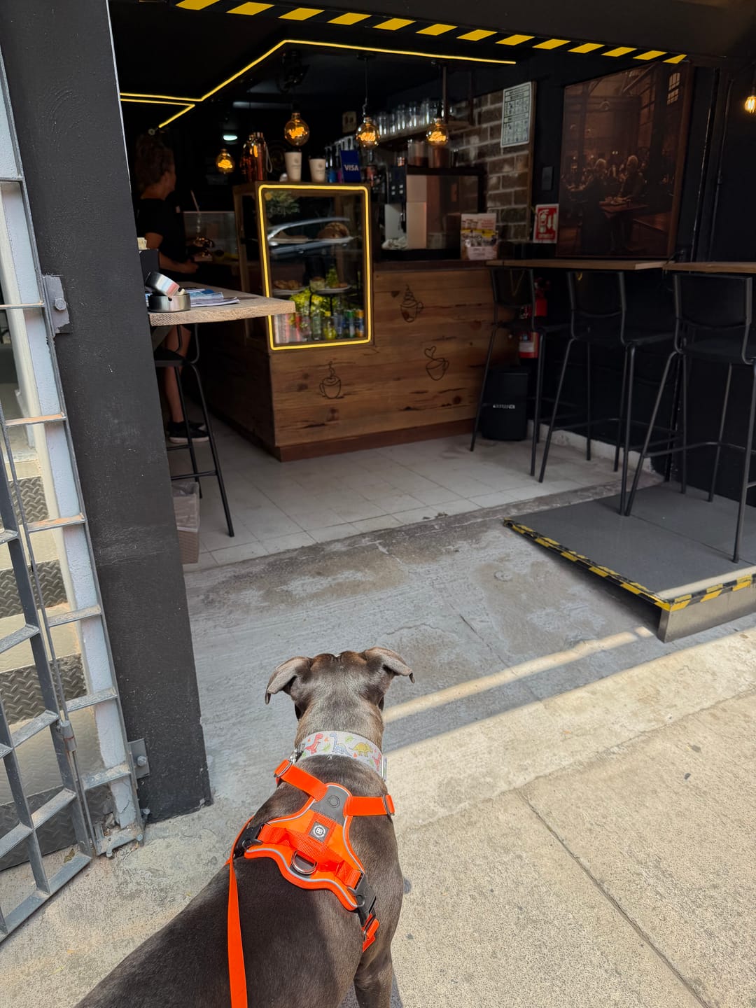 Customer photo review of Anti Pull Hurricane Harness Lighter | With Handle - Orange