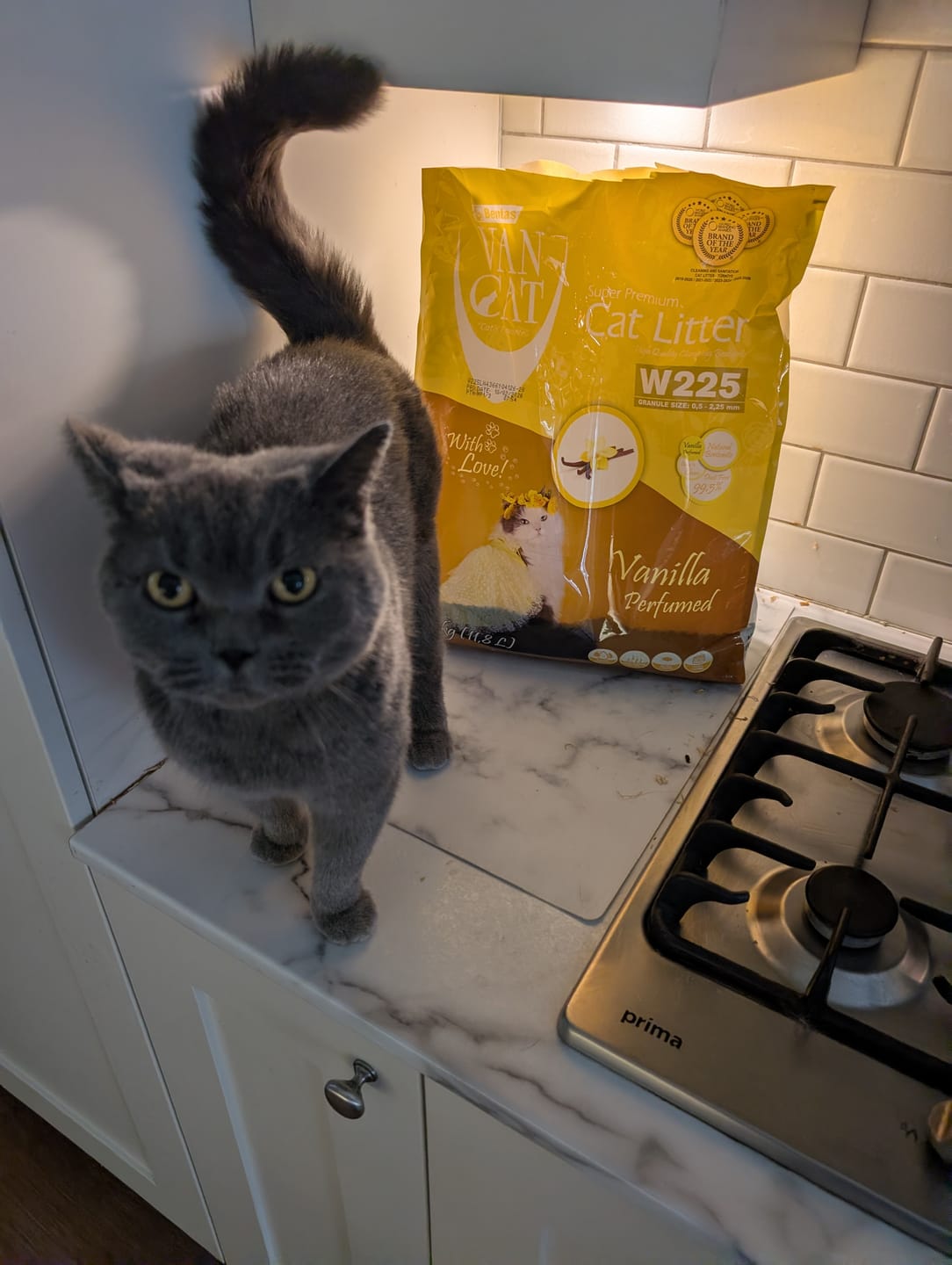 Customer photo review of All-Rounder Scented Cat Litter (W225) 10KG