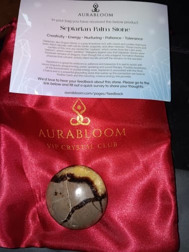 Reviewer's Septarian palm stone and info card on a red satin VIP Crystal Club pouch.