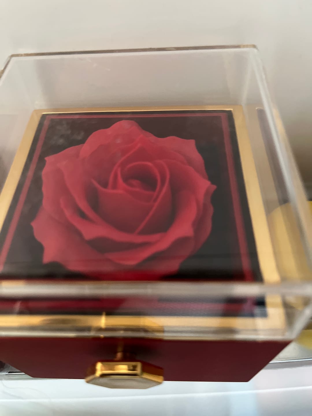 Customer photo review of An Meine Liebe – Für Immer Und Ewig  – Herz-Kette