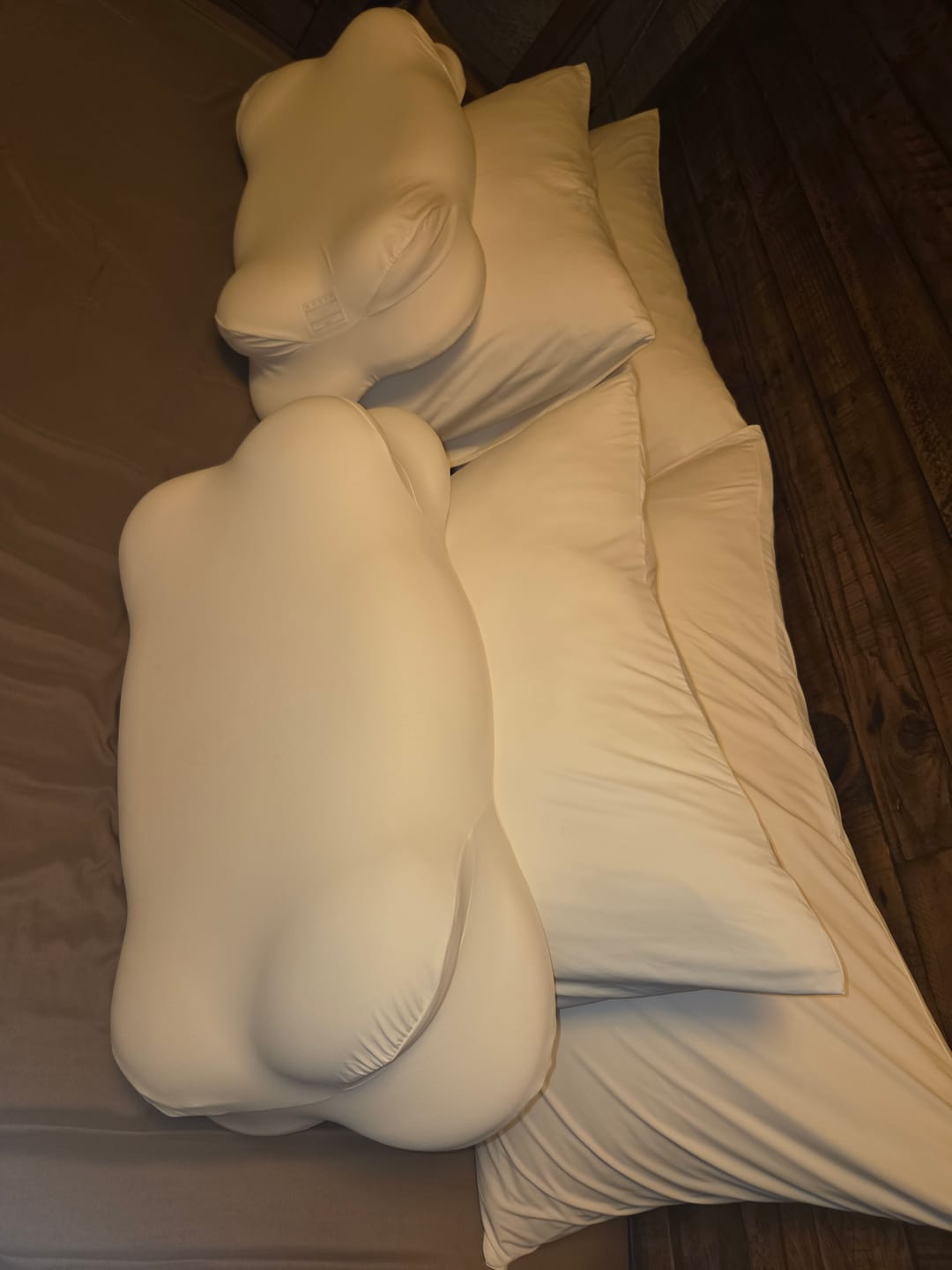 Customer photo review of Waterproof & Stain-Resistant Hotel Pillow