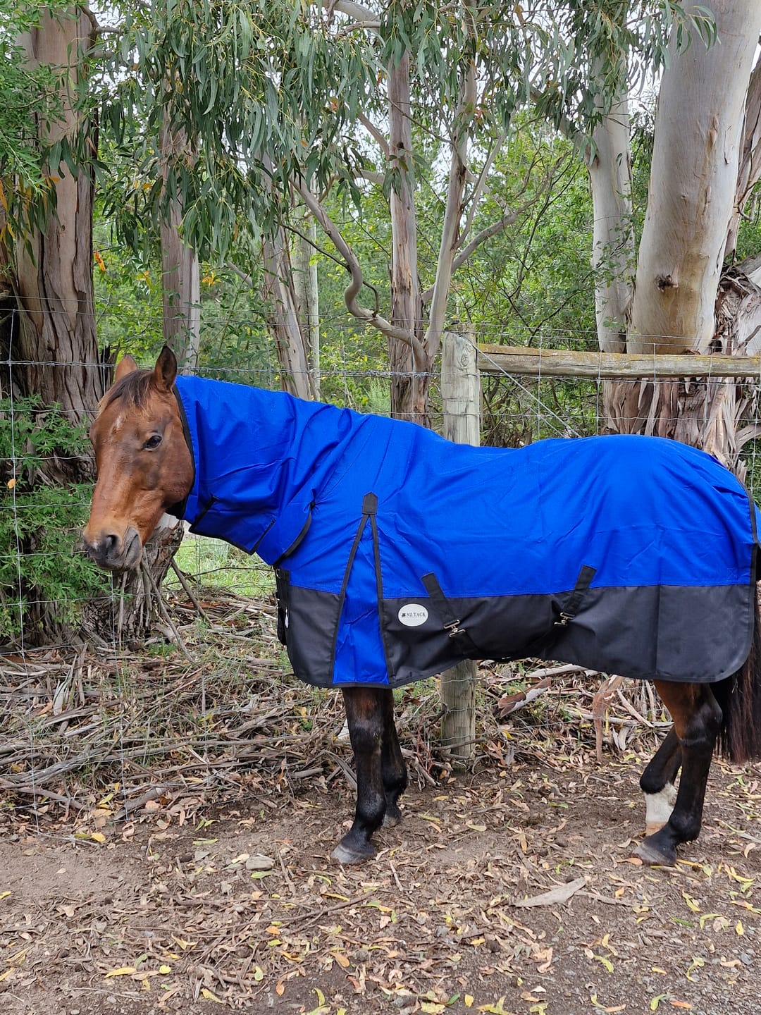 Customer photo review of NZ Tack Duke 1200D Combo