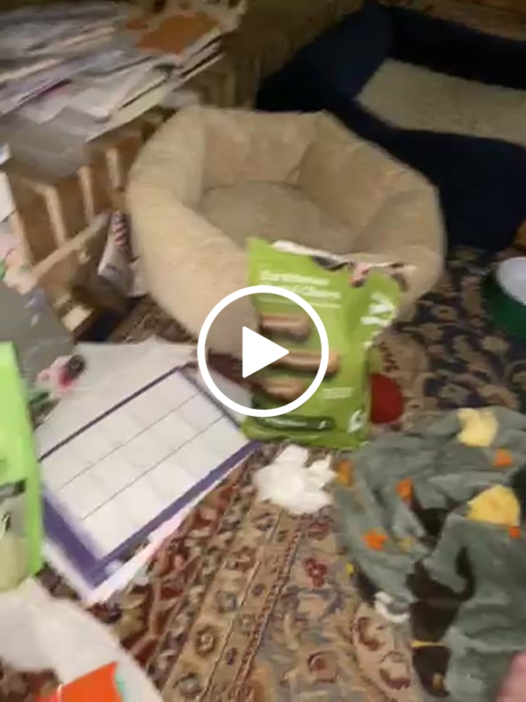 Customer video review of Earthbones Dental Chews For Dogs