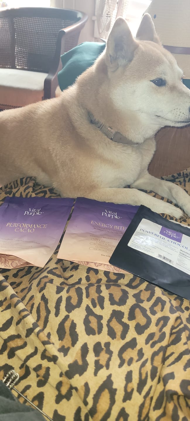 Customer photo review of Energy Bites: Flavanol Rich Chocolate Covered Cocoa Seeds