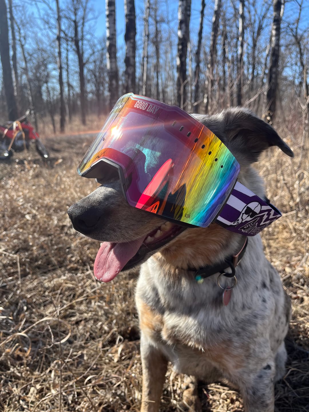 Customer photo review of The Valorie Moto/MTB Goggle - Gasolina Lens