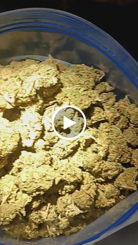 Customer video review of Cheap THCA Flower Pound
