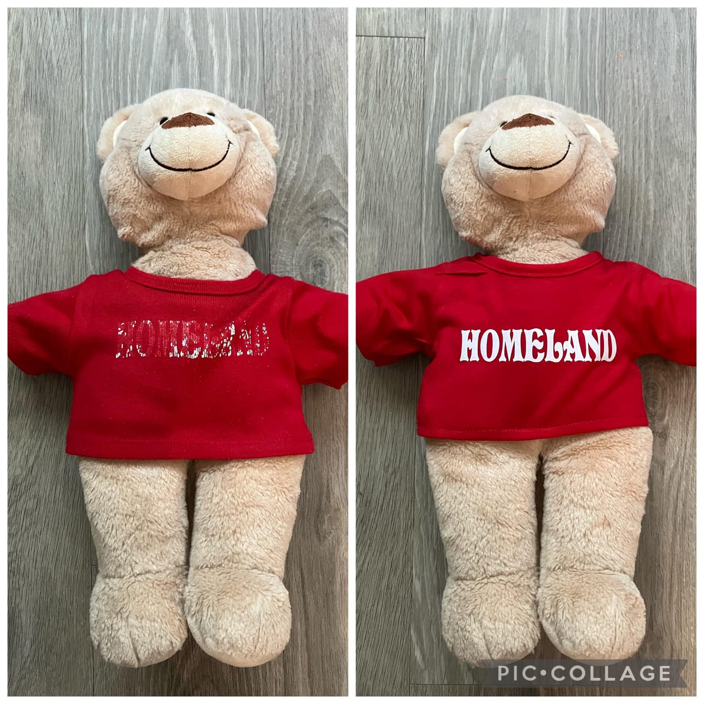 Customer photo review of Custom Plushie T-Shirt — Fits 14–16-inch Plushies