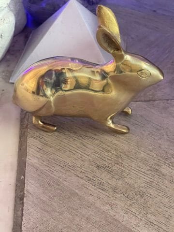 Customer photo review of Golden Rabbit Brass Idol – Auspicious Vastu Remedy for Wealth Attraction & Prosperity | Ideal for North Direction, Office Desk & Home Entrance | 13 x 4.5 x 11.5 cm | 670 g