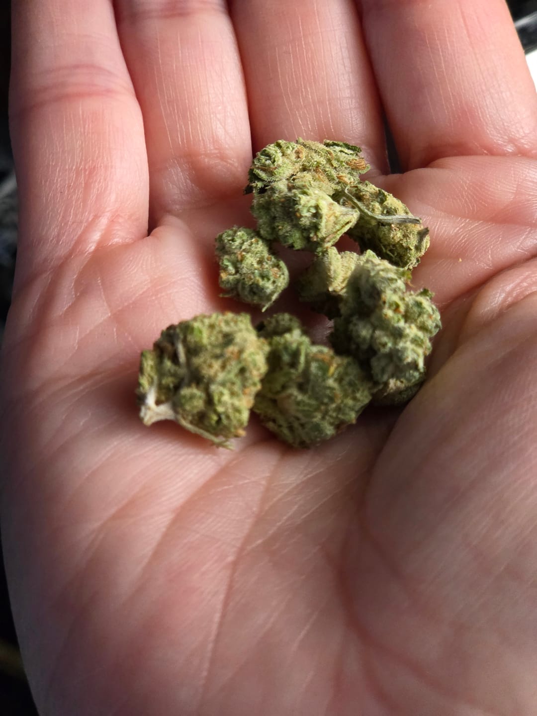 Customer photo review of Alien OG - Minis - 14 Grams - Indica