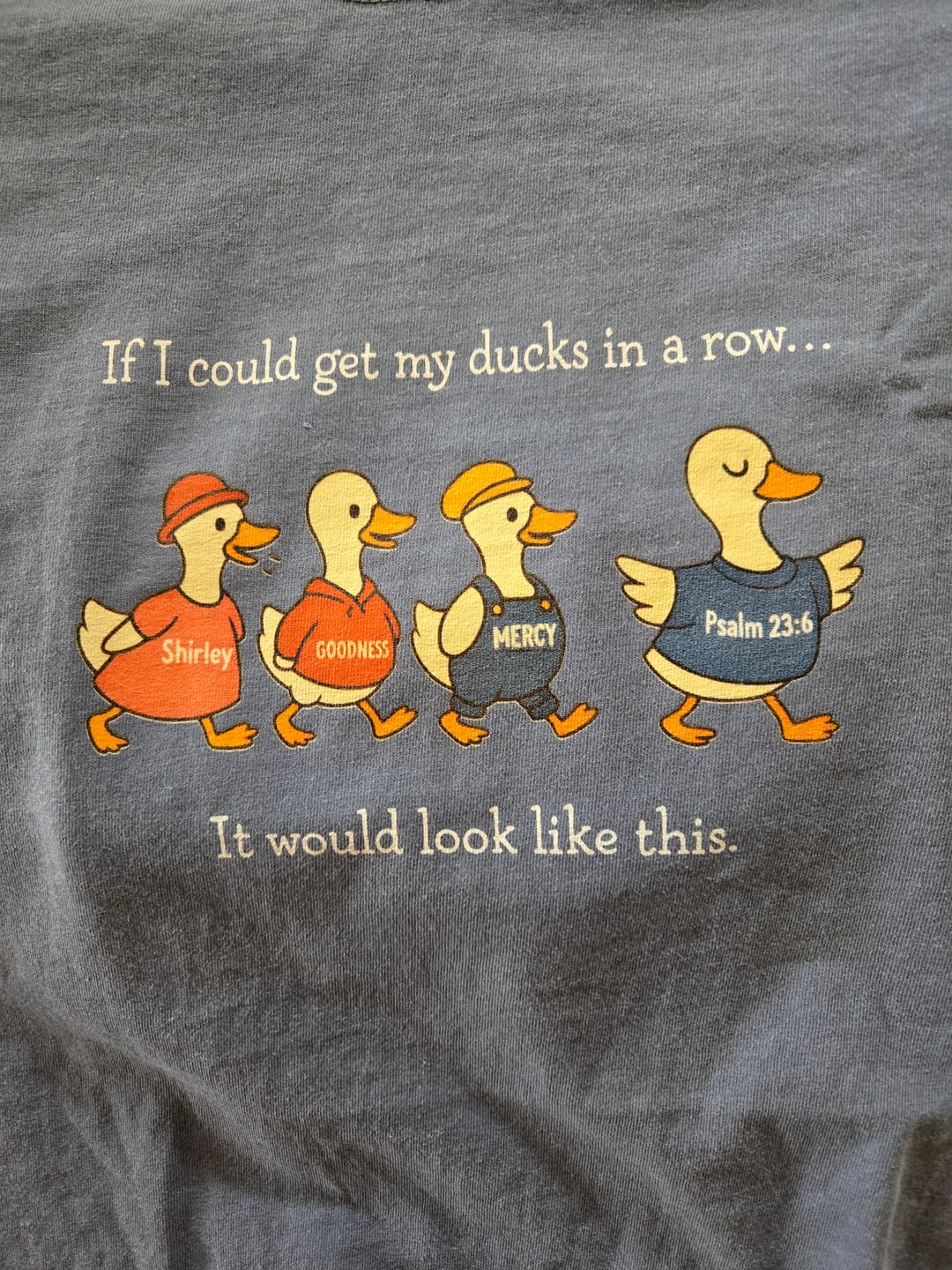 Customer photo review of Ducks In A Row T-shirt