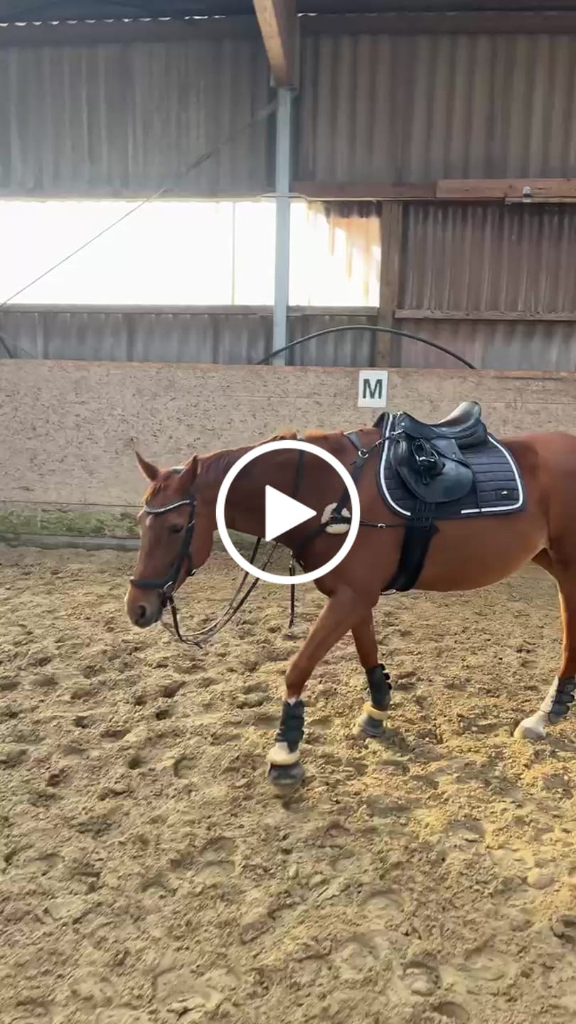 Customer video review of Kristallkraft Coolly