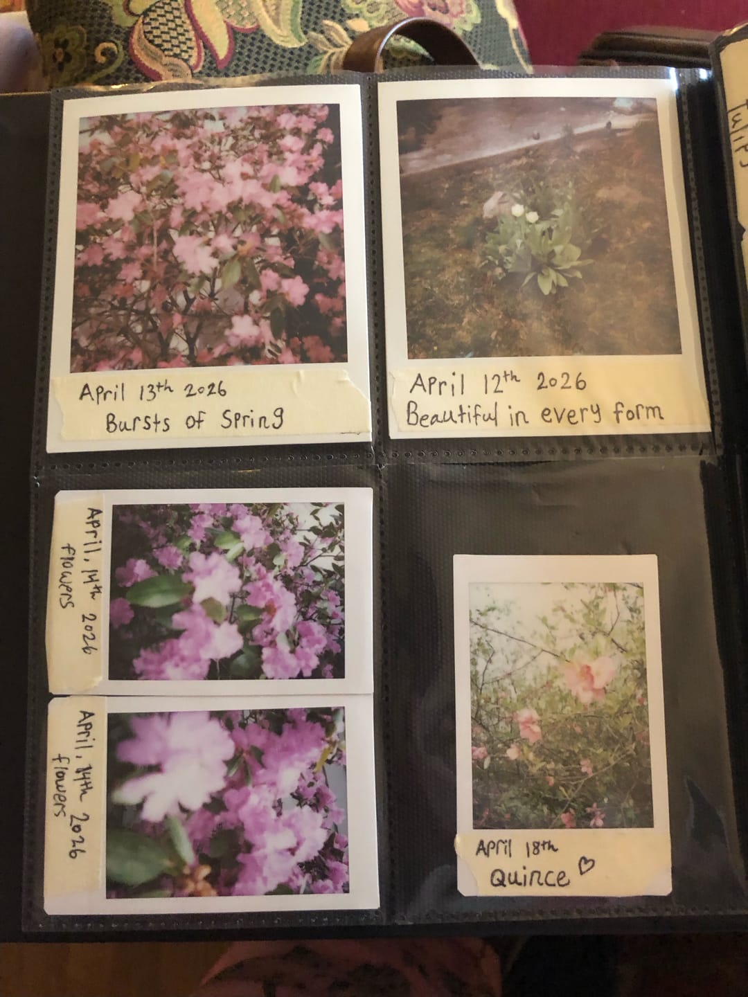 Customer photo review of Polaroid Photo Album Black - Large - 160 Photos