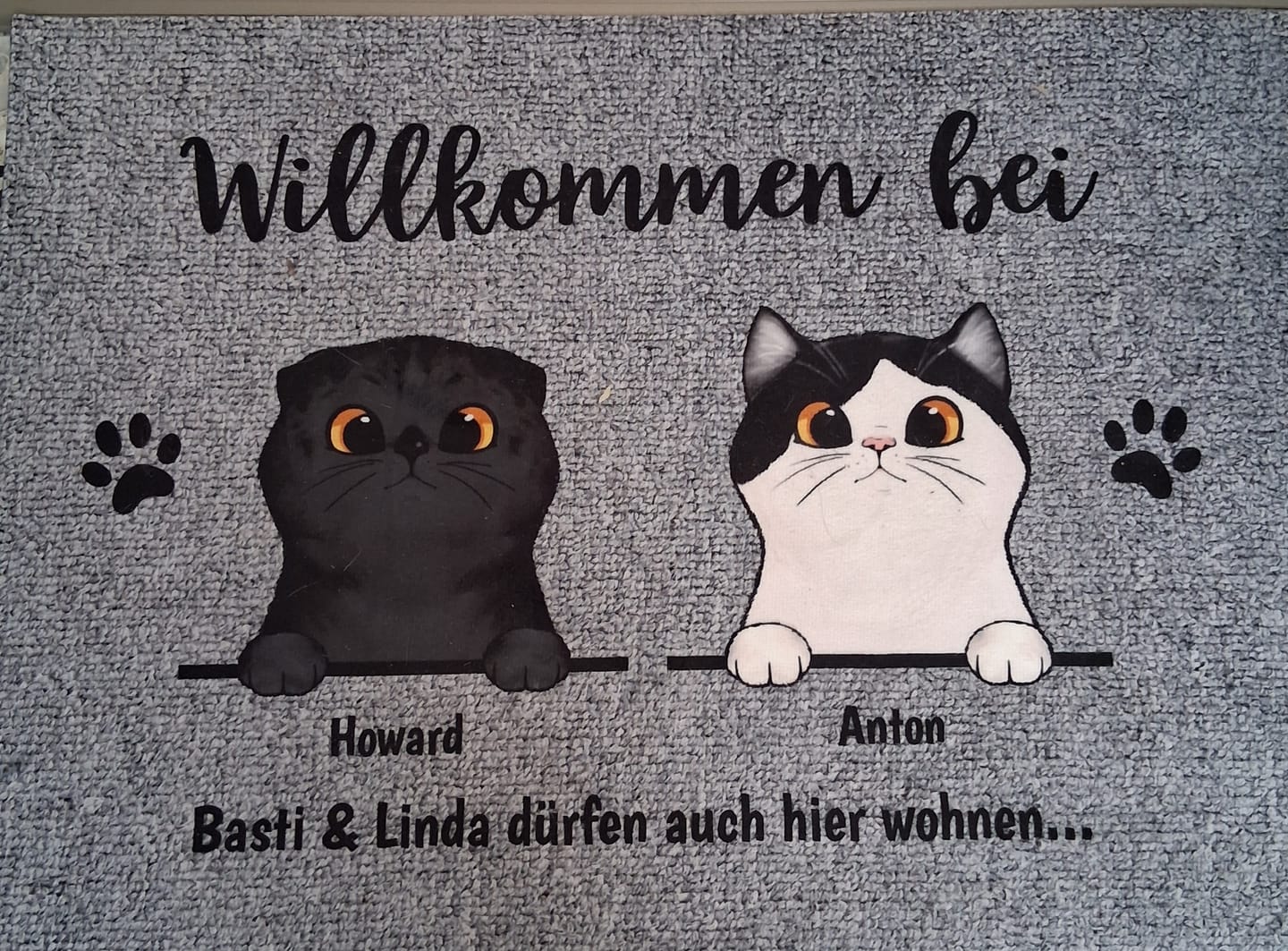 Customer photo review of Personalisierte Fußmatte - Willkommen bei neugierigen Katzen