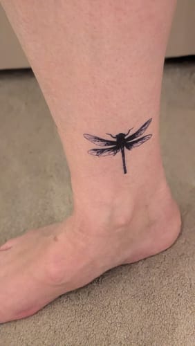 Customer photo review of Dragonfly