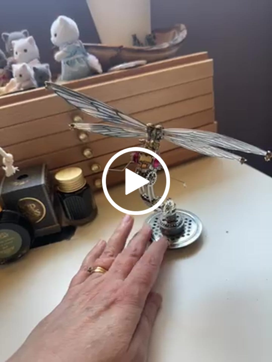 Customer video review of Dragonfly