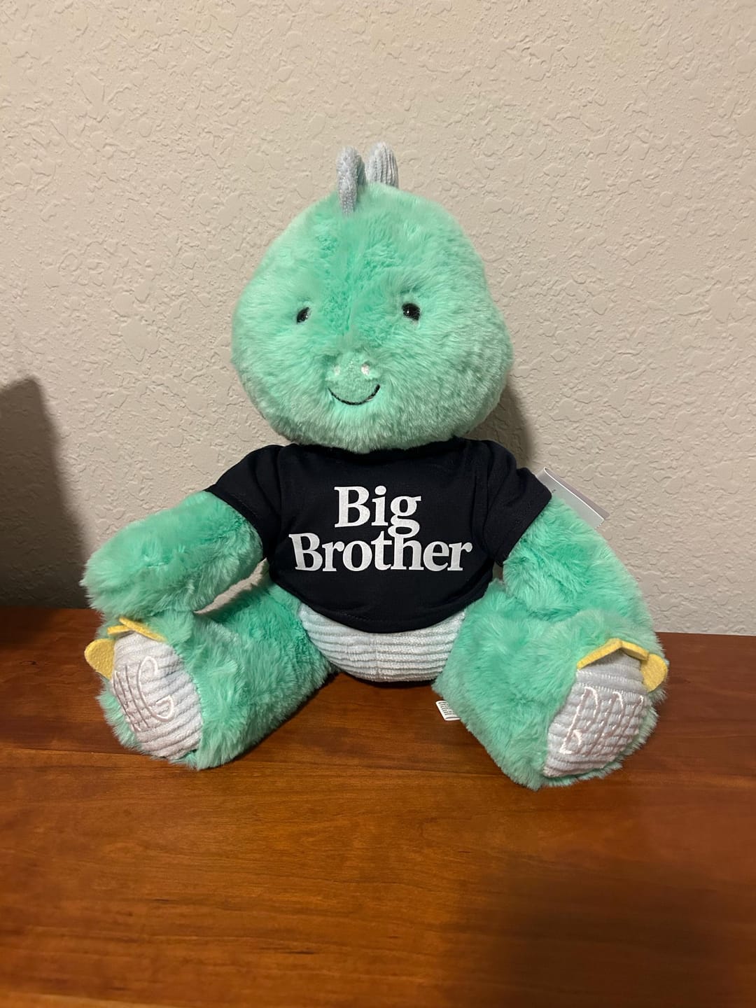 Customer photo review of Custom Plushie T-Shirt — Fits 14–16-inch Plushies
