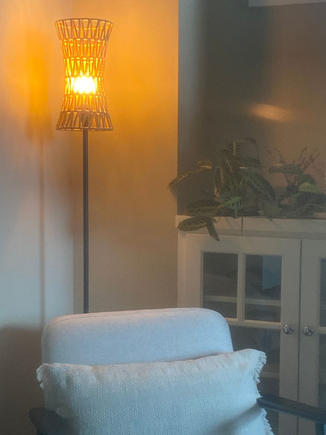 Customer photo review of Circadian Lightbulb™
