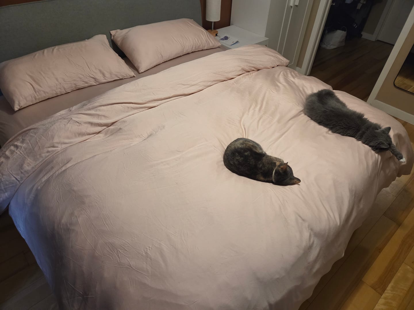 Customer photo review of Bamboo Luxe Sateen Duvet Cover Set – Cooling & Ultra-Soft Comfort 400 Thread Count