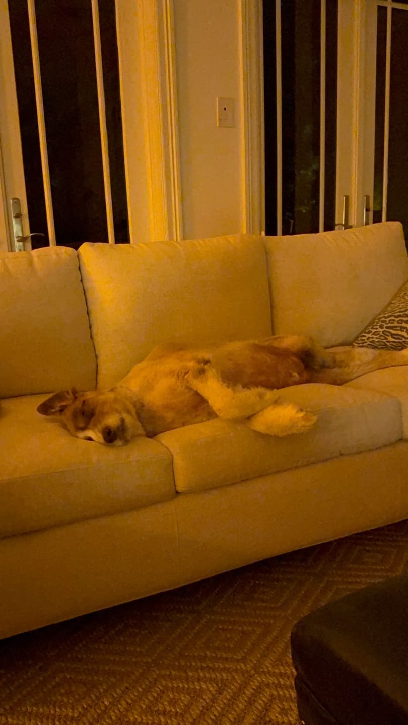Customer photo review of Circadian Lightbulb™