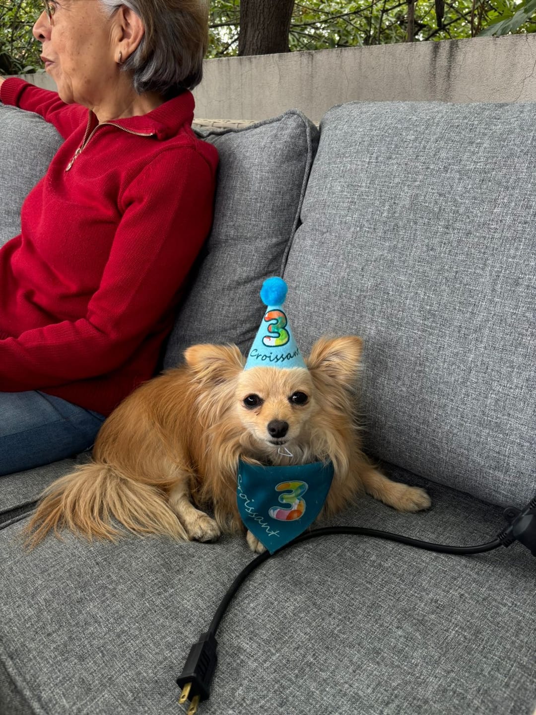 Customer photo review of Personalized Dog Party Pack