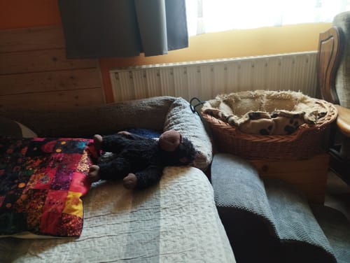 Customer photo review of FurStairs Gerinckímélő Kutyalépcső Rámpa Kialakítással – Ágyra és Kanapéra Ugrás Nélkül