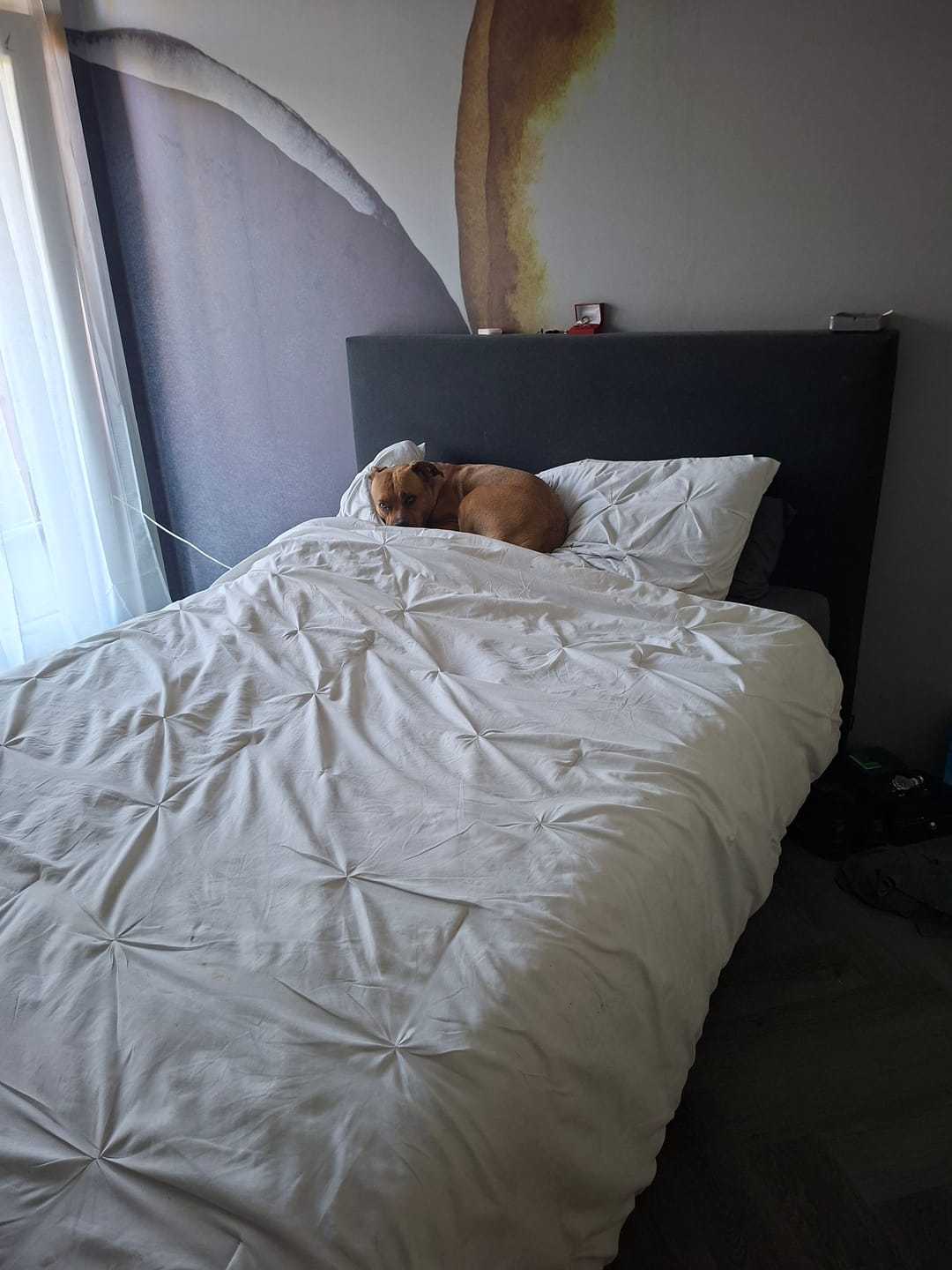 Customer photo review of Kussenslopen Mat Satijn Diamond White 60x70cm 2-Pack