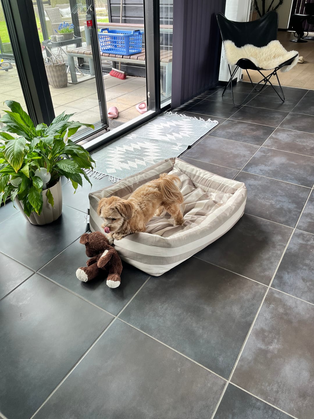 Customer photo review of Staey - Alba Canvas Hundeseng, Natur