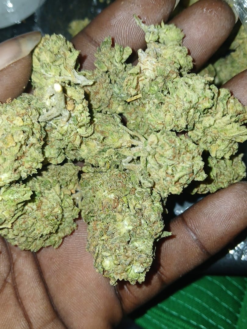 Customer photo review of Jungle Gelato - Bulk - Indica