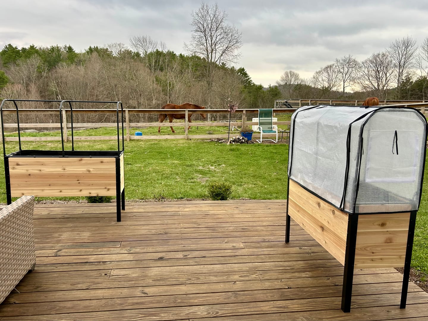 Customer photo review of Greenhouse Cover