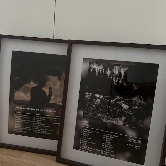 Customer photo review of L'étrange histoire de Mr Anderson Laylow Poster