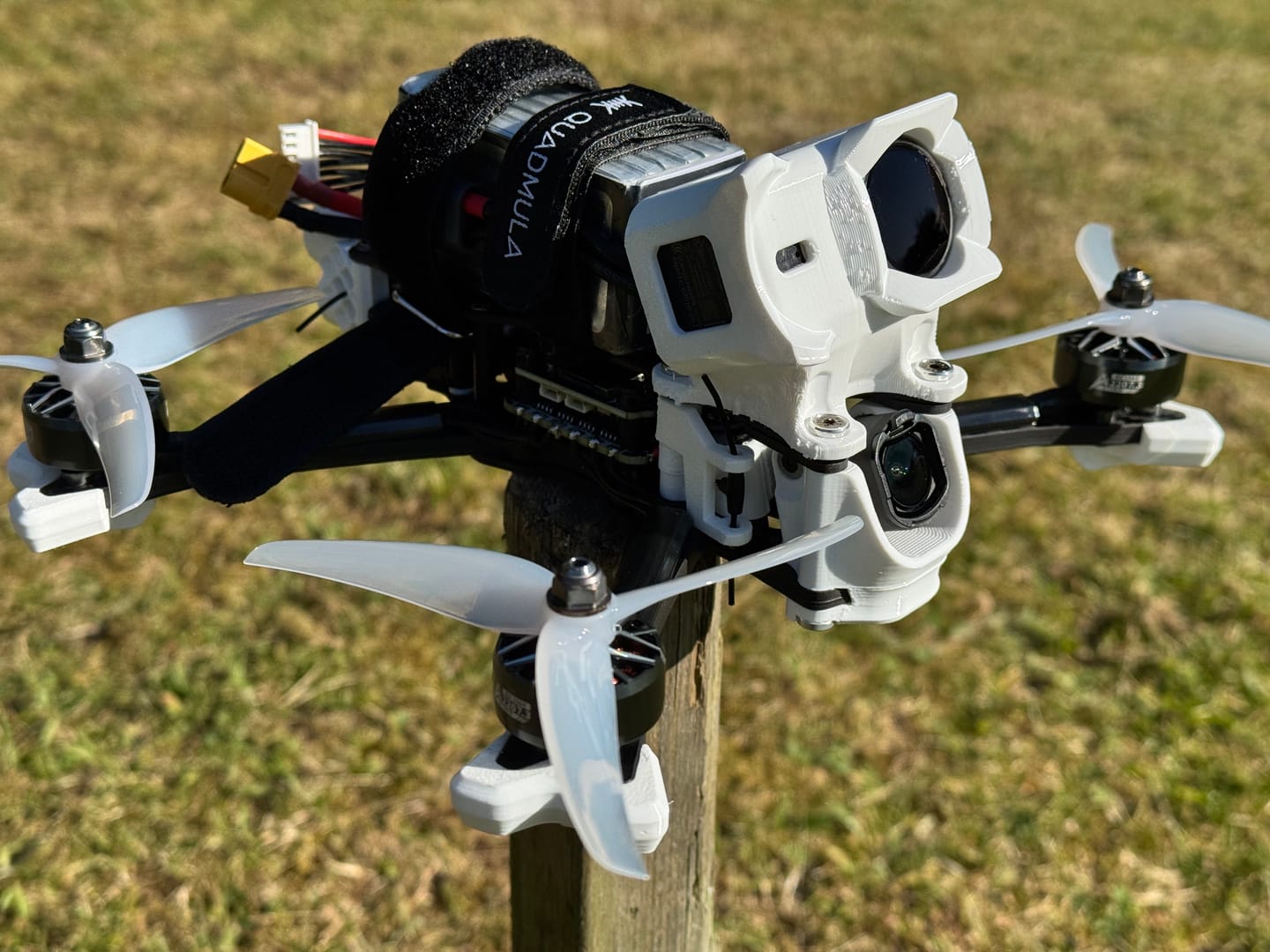 Customer photo review of SirenA F5