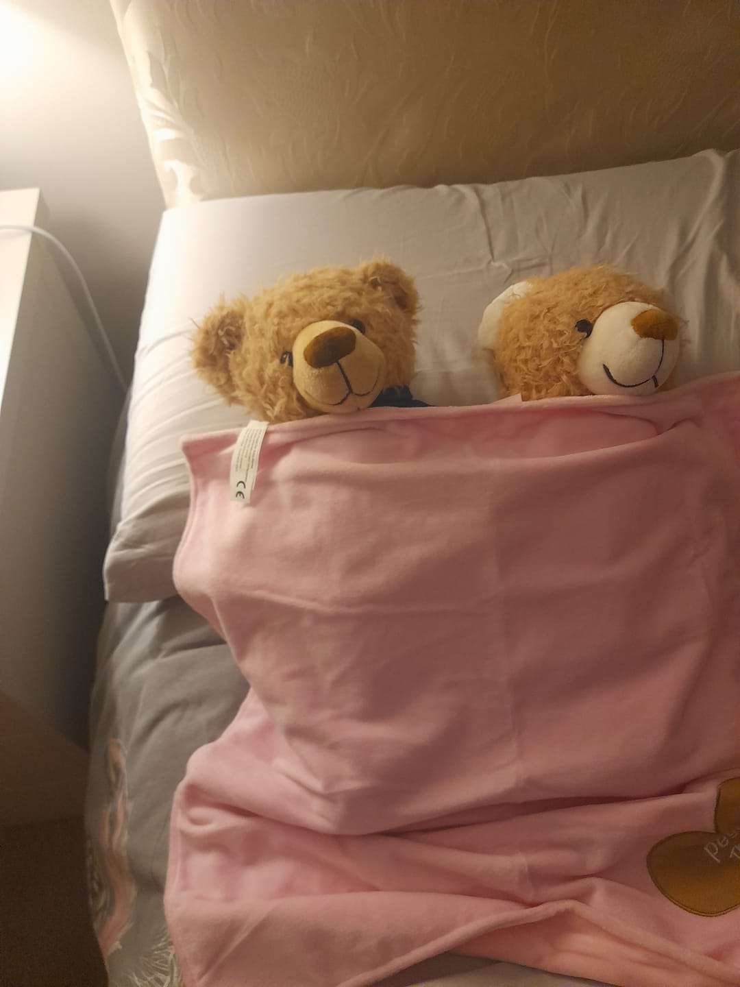 Customer photo review of Peggy The Teddy Bear Snuggle Blanket