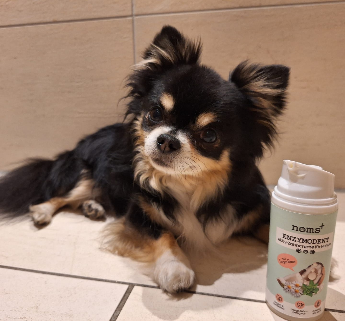 Customer photo review of Enzymodent: Enzymatische Zahnpasta für Hunde mit natürlicher Pflege- und Präventionsformel