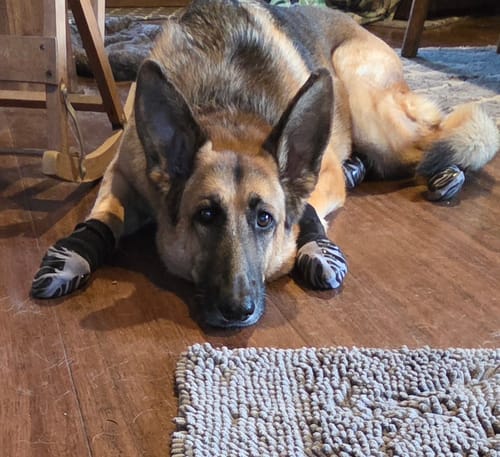 Customer photo review of Anti-Slip Socks for Enhanced Stability