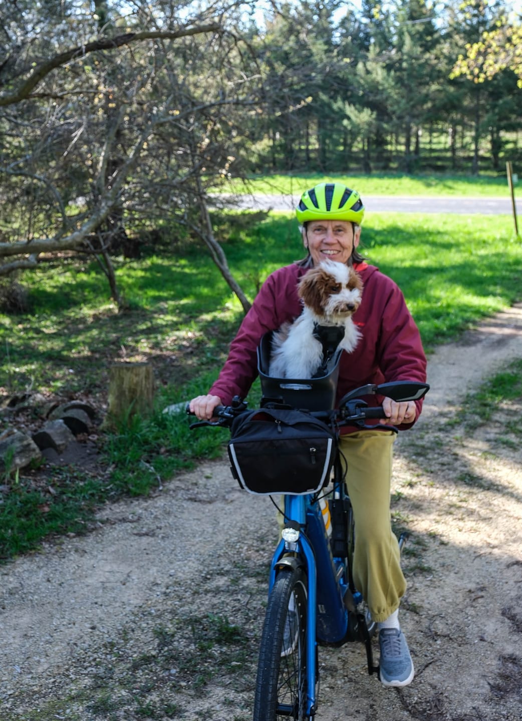 Customer photo review of Kvisp Dog Bike Carrier