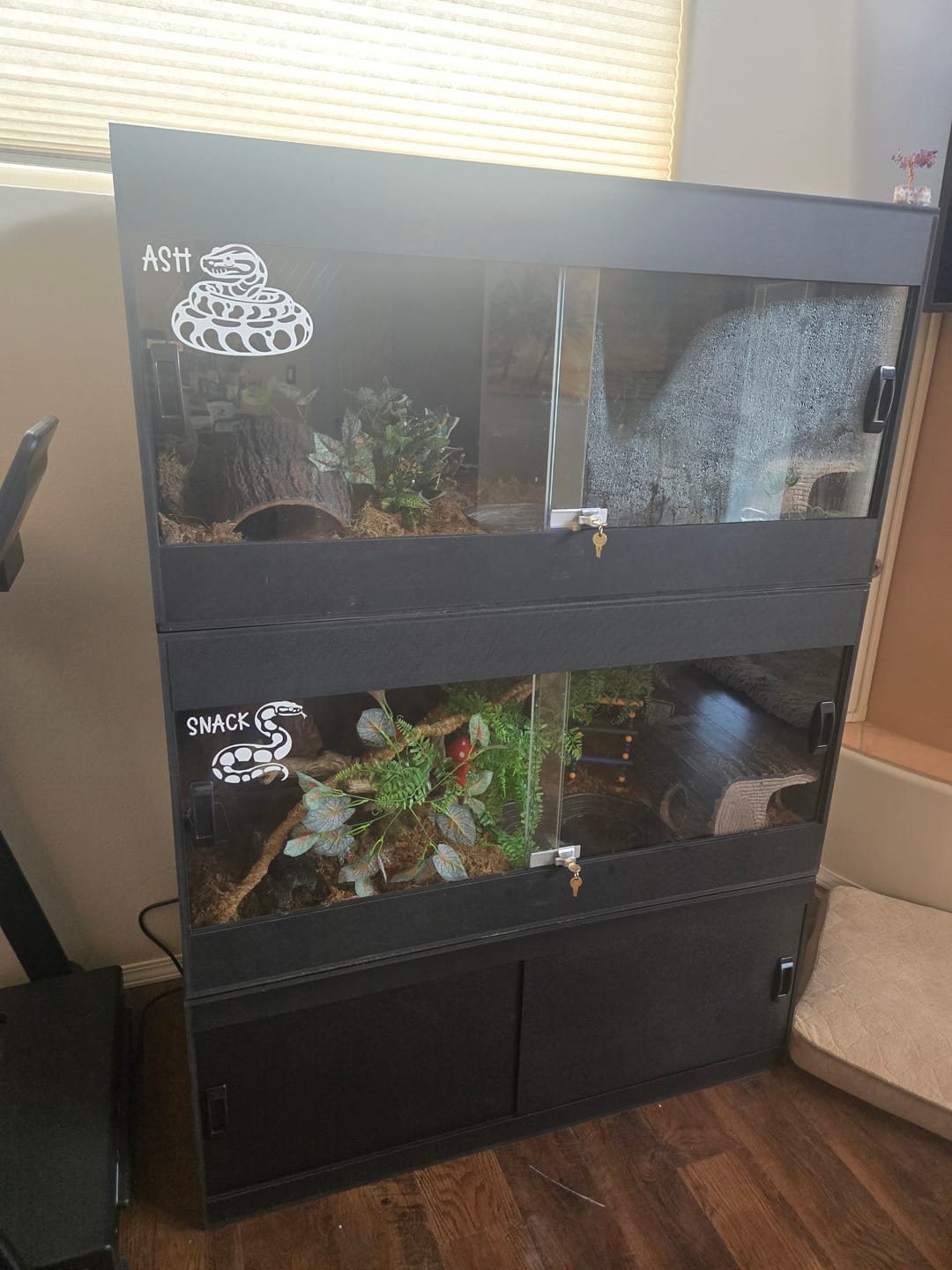 Customer photo review of 48"x24"x24" / 4'x2'x2' Premium PVC Reptile Enclosure