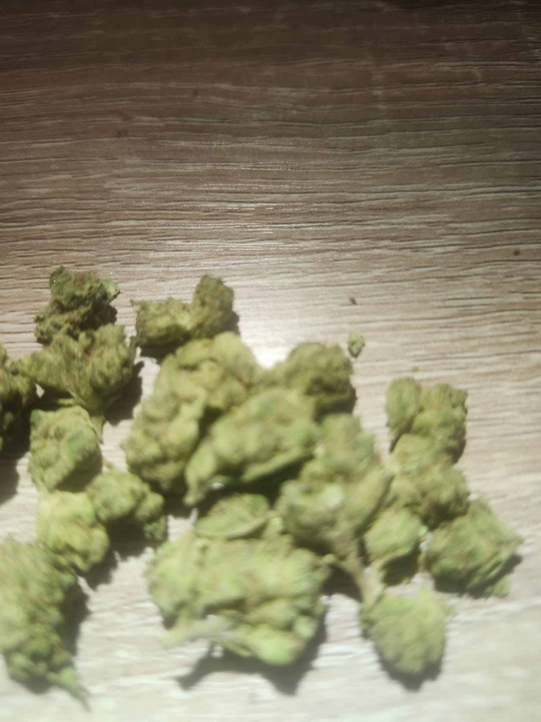 Customer photo review of Girl Scout Cookies - Minis - 14 Grams - Hybrid