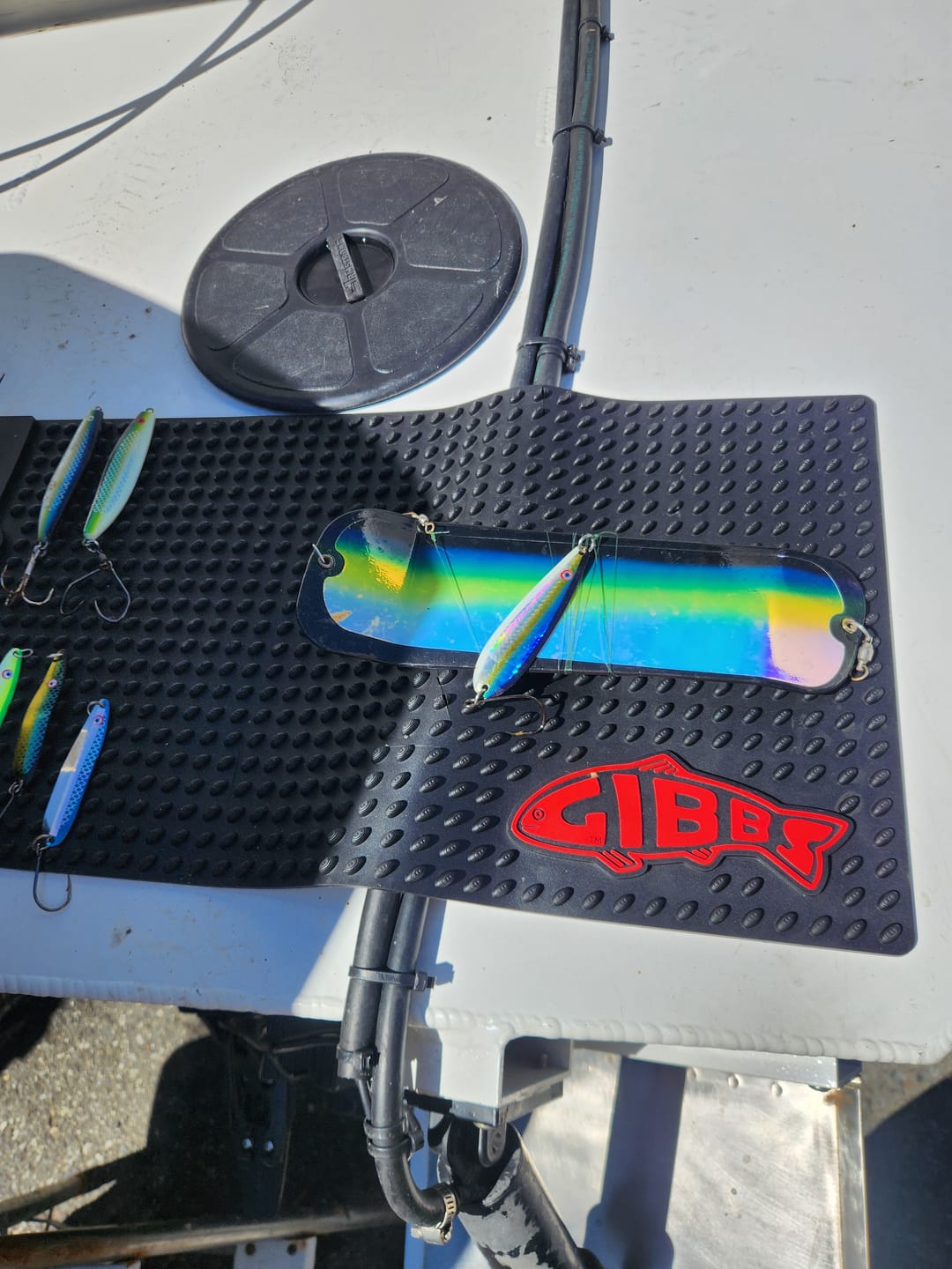 Customer photo review of Gibbs Fish Cleaning Mat