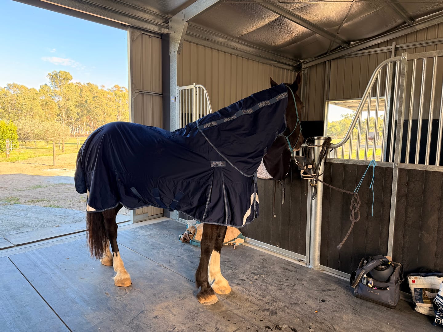 Customer photo review of LE Fieldsafe Universal Cotton Sheet