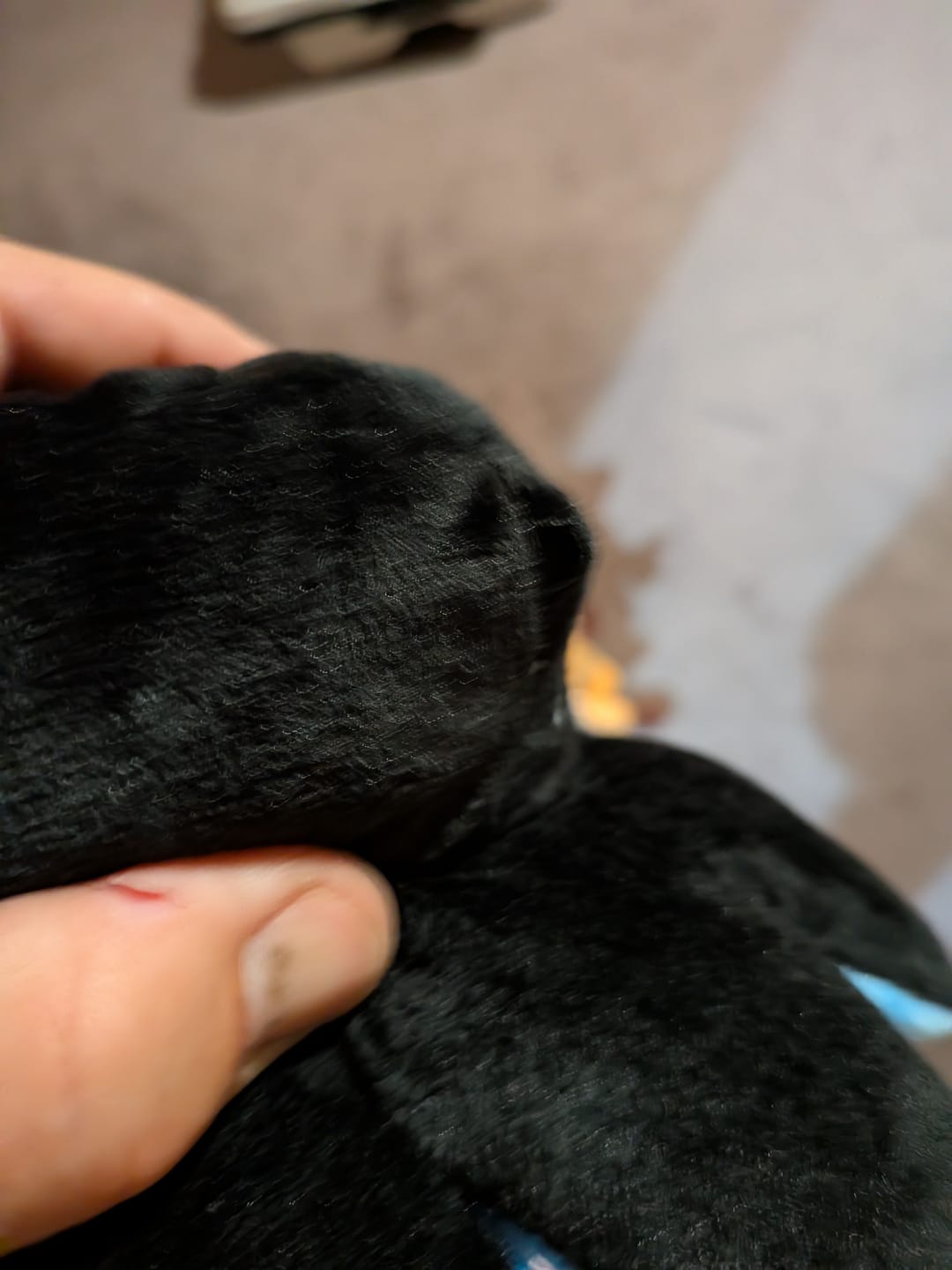 Customer photo review of Octoplushie