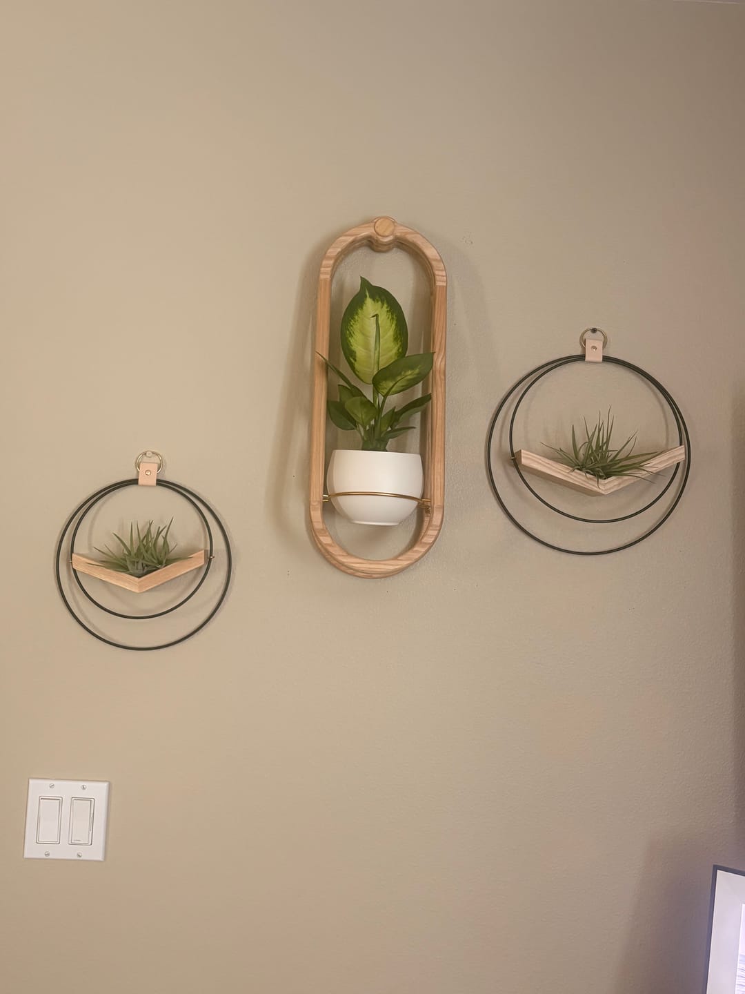 Customer photo review of Frame Wall Planter + Pot