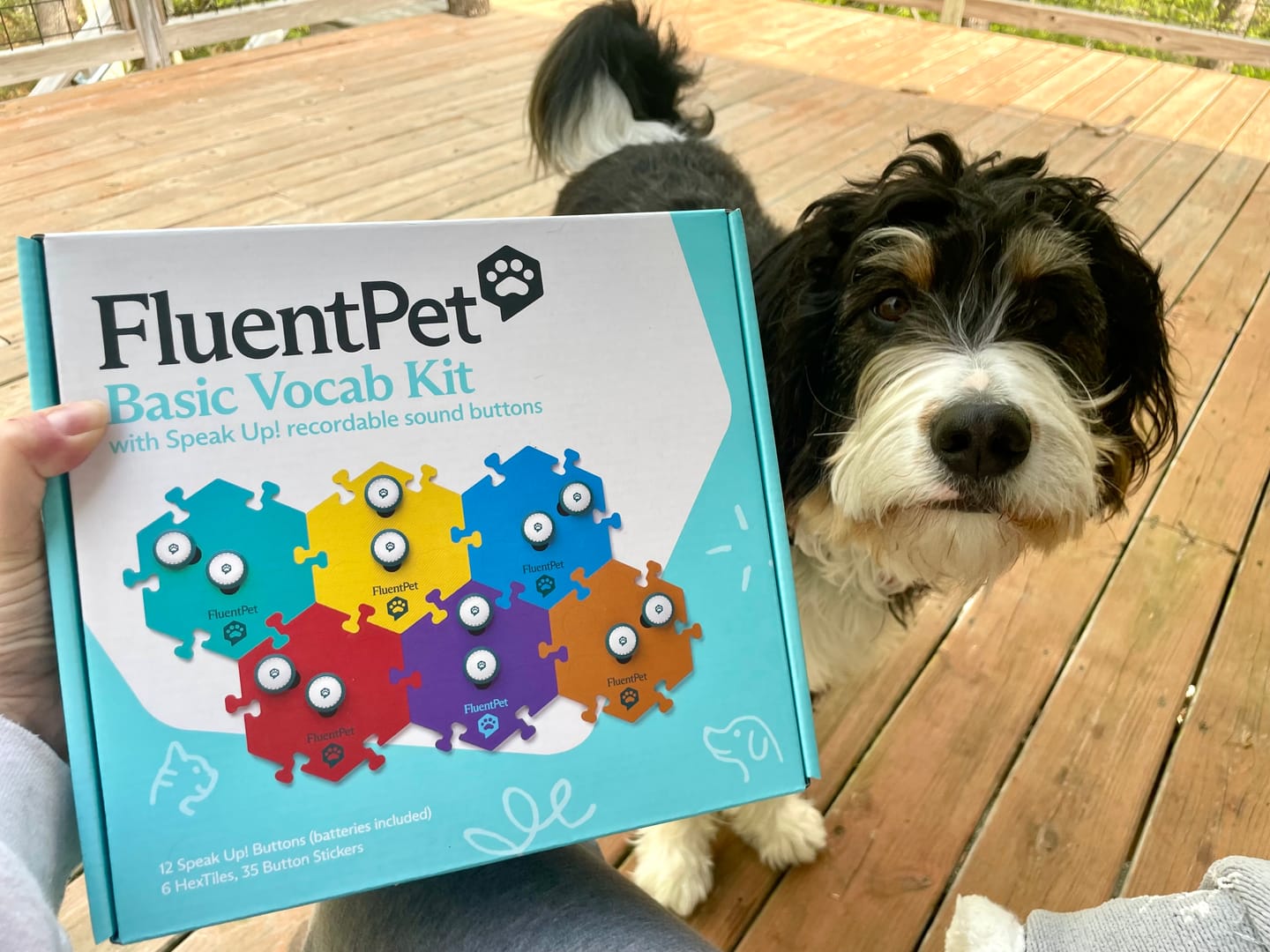 Customer photo review of Key Vocab Kit Bold