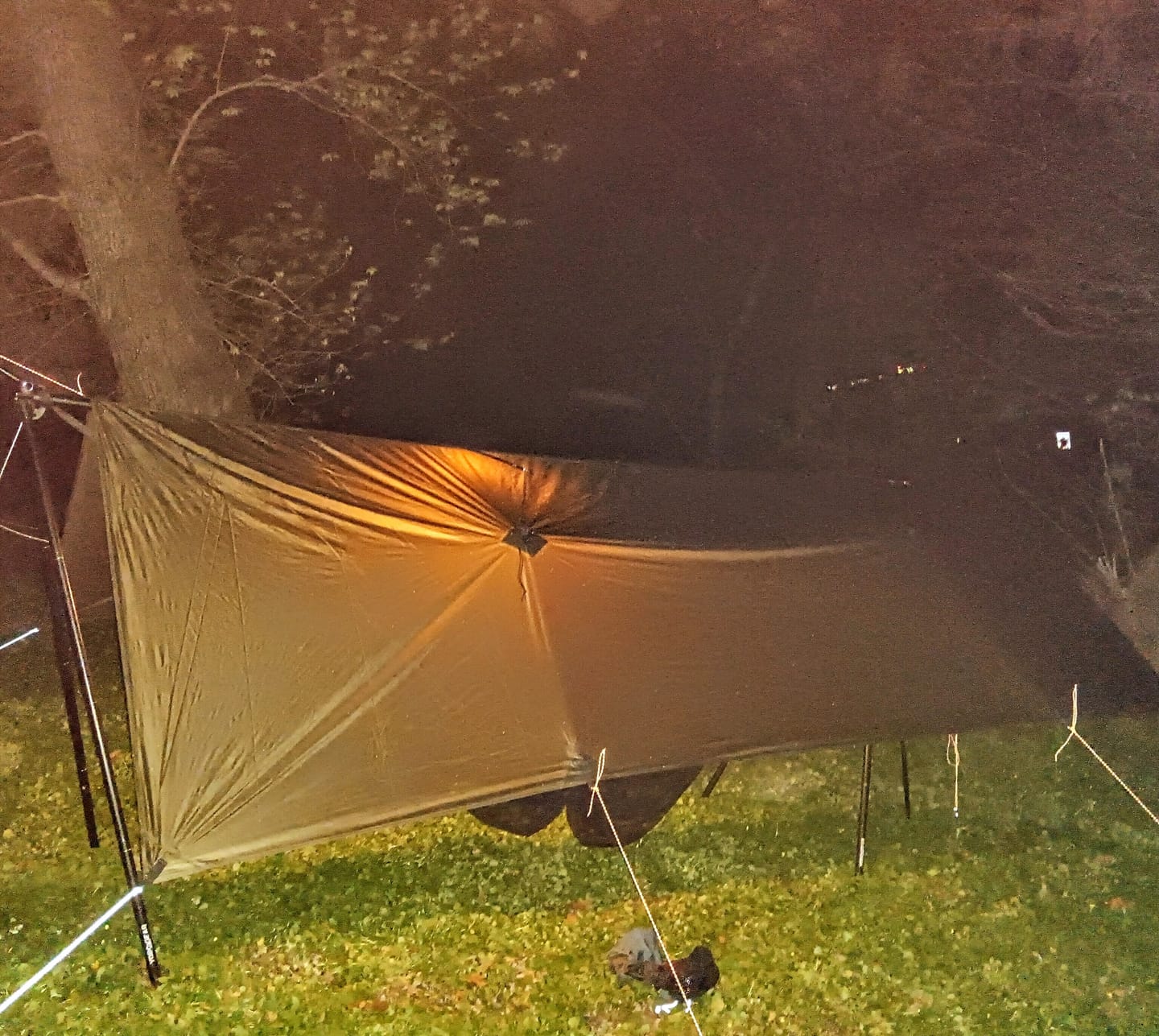 Customer photo review of Turtlebug Camper Hammock Stand