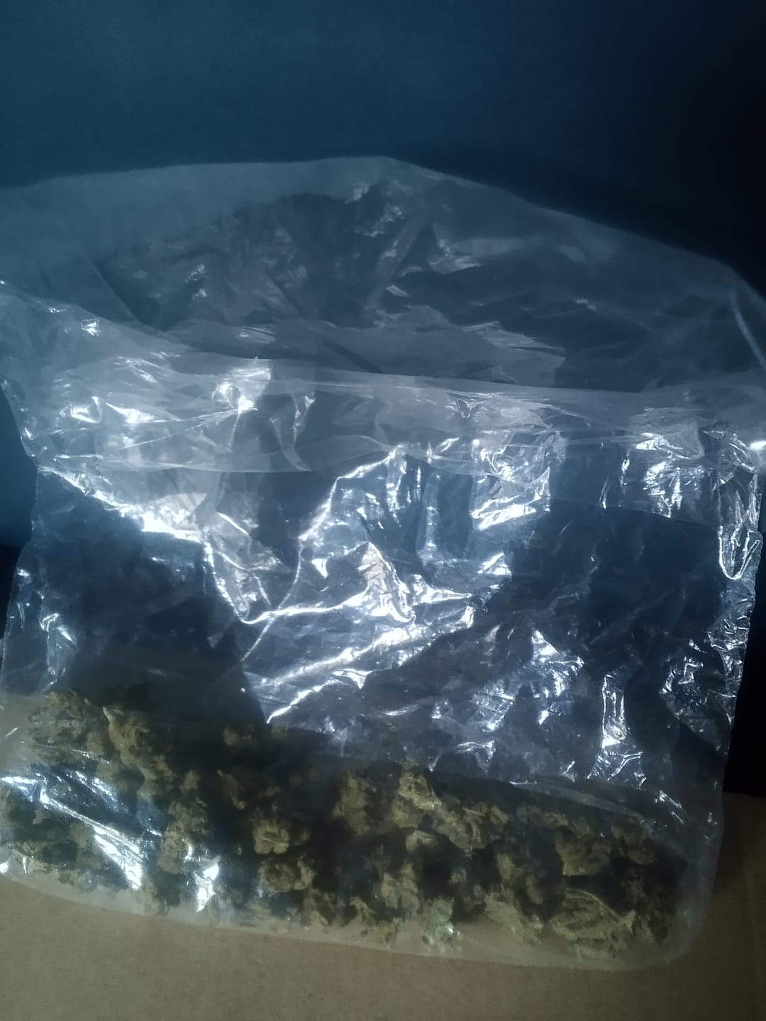 Customer photo review of Fire OG Minis - Bulk Minis - Indica