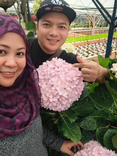 Customer photo review of 9FIFTY Sakura Pack Black Snapback