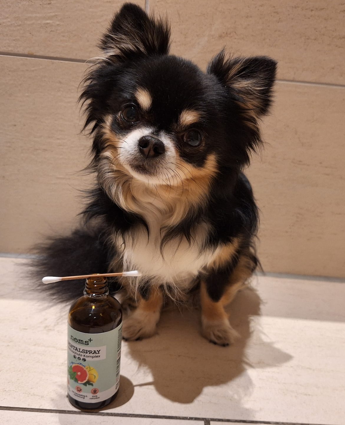 Customer photo review of Dentalspray bei Zahnstein für Hunde und Katzen