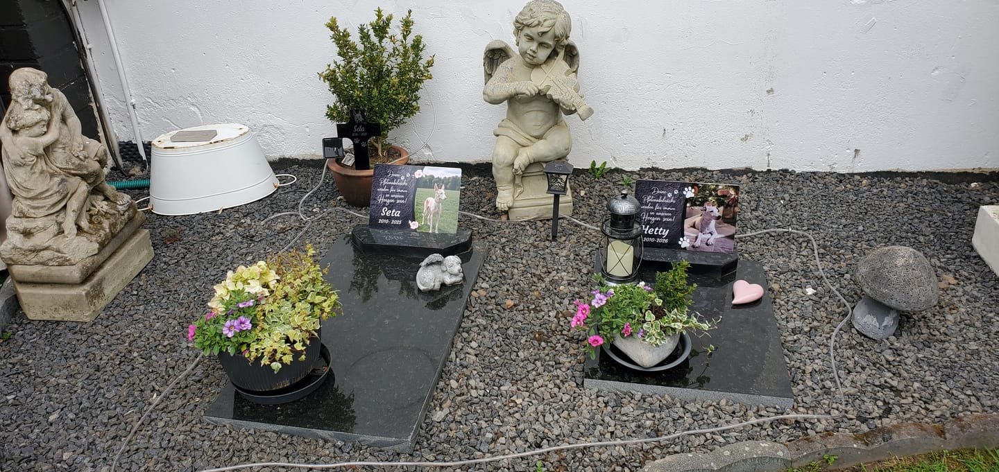 Customer photo review of Katzen Gedenktafel mit Foto & Spruch (UV- & Wetterfest)