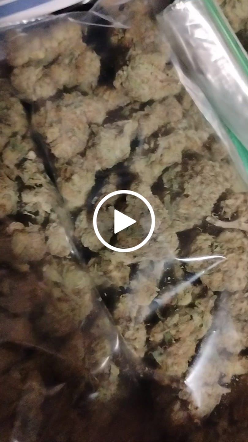 Customer video review of Raspberry Kush - Bulk- Indica